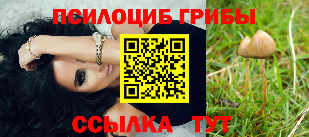 Псилоцибиновые грибы Cubensis  Вход с VPN  Реж  Псилоцибиновые грибы мицелий 